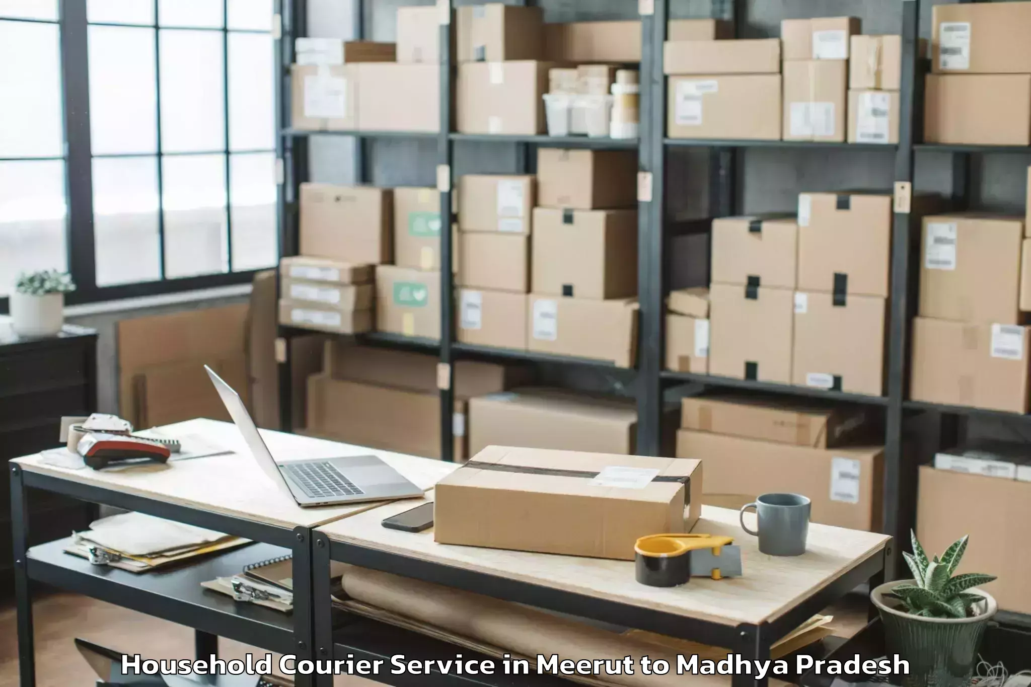 Easy Meerut to Ashoknagar Household Courier Booking